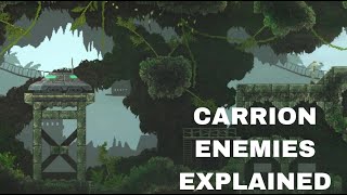 All Carrion Enemies EXPLAINED