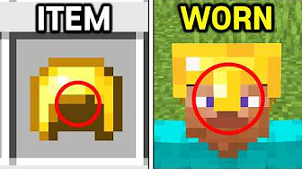 58 Minecraft Things You Can't Unsee!