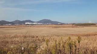 @TV-nl6yw #영산강저류지 #영산강국가정원 #영산강가에서