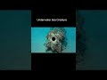Underwater sea creature on the ocean floor 🌊 #Ocean #Nature