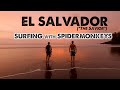 El Salvador - SURFING with SPIDERMONKEYS - ShaneOgoeS BIG!