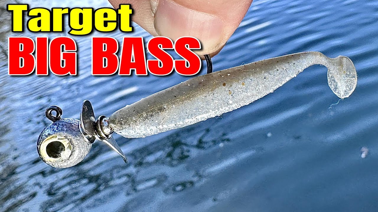 Target The BIGGEST Bass in February With This 