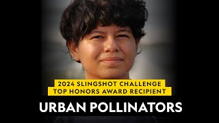 2024 Slingshot Challenge Top Honors Award Recipient   |  Urban Pollinators