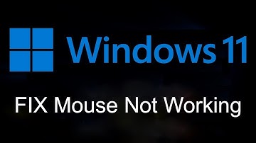 Mouse Not Working in Windows 11? Here