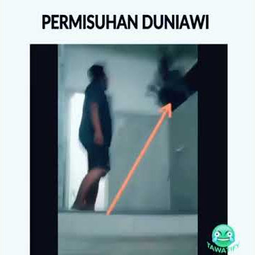 kelakuan piye koe hee? || video ngakak misuh || story wa