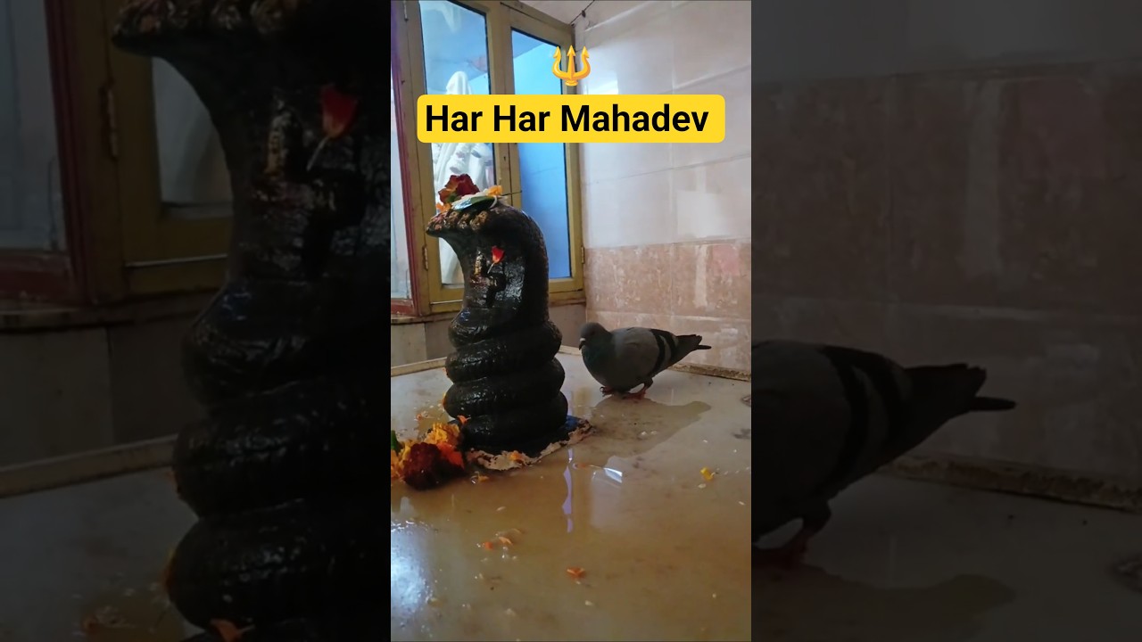Har har mahadev 🔱 | mahadev status 