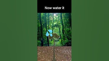 Bro planted a lepidodendron tree #meme #tree #extinct