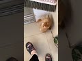 So Funny 140 So Funny 140