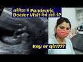 अमेरिका मे Pandemic के  दौरान Doctor Visit कैसे होती है?~Indian Vlogger in America