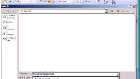 How to import Phone list from Excel2.avi
