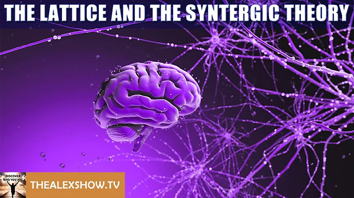 The Lattice and the Syntergic Theory of Dr Jacobo Grinberg