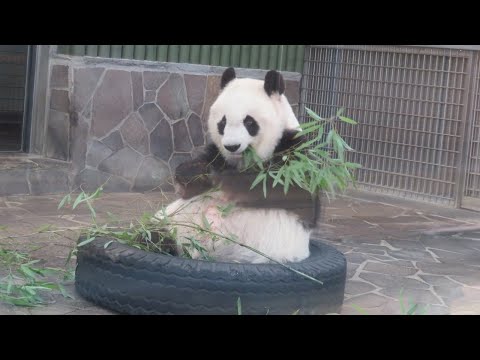2022/02/09休園日のおひるごはん