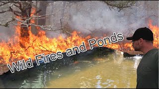 How to care for your pond after wildfires