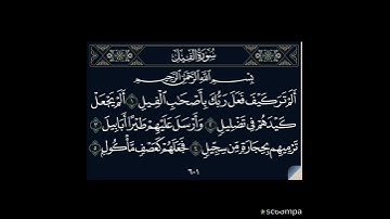 سورة الفيل بصوت الشيخ ابو بكر الشاطري صوت جميل جدا