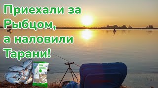 Приехали ловить рыбца, а наловили тарани / С Фидером на Дон / Рыбалка на большой реке@FISHMIRrostov