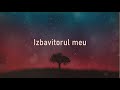 Izbavitorul meu [Lyrics] - LuminaLumii Worship