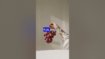 React.js: Build Dynamic User Interfaces