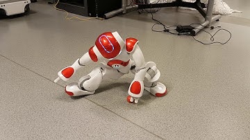 Nao robot picking up a red ball (OsloMet project)