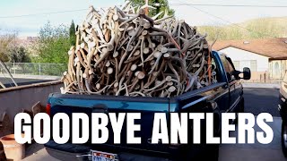 SELLING ALL THE ANTLERS VLOG 85