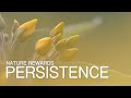 Nature Photography | Nature Rewards Persistence