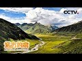 《远方的家》长江行（5）金沙序曲 生态石渠 20190705 | CCTV中文国际