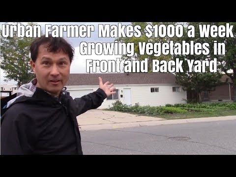 Urban Farmer Makes