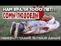 СОМЫ-ЛЮДОЕДЫ убивают людей! Нам врали 1000 лет | Виталий Дальке - разоблачение