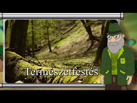 Erdő Ernő bácsi meséi - Hogyan lehet lefesteni a természetet?