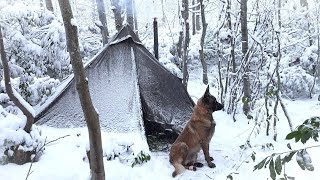картинка: Зимний кемпинг в метель с моей собакой | Выживание в лесу, Приготовление пищи на плите