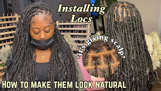 Installing Locs | How To Make Them Look Natural