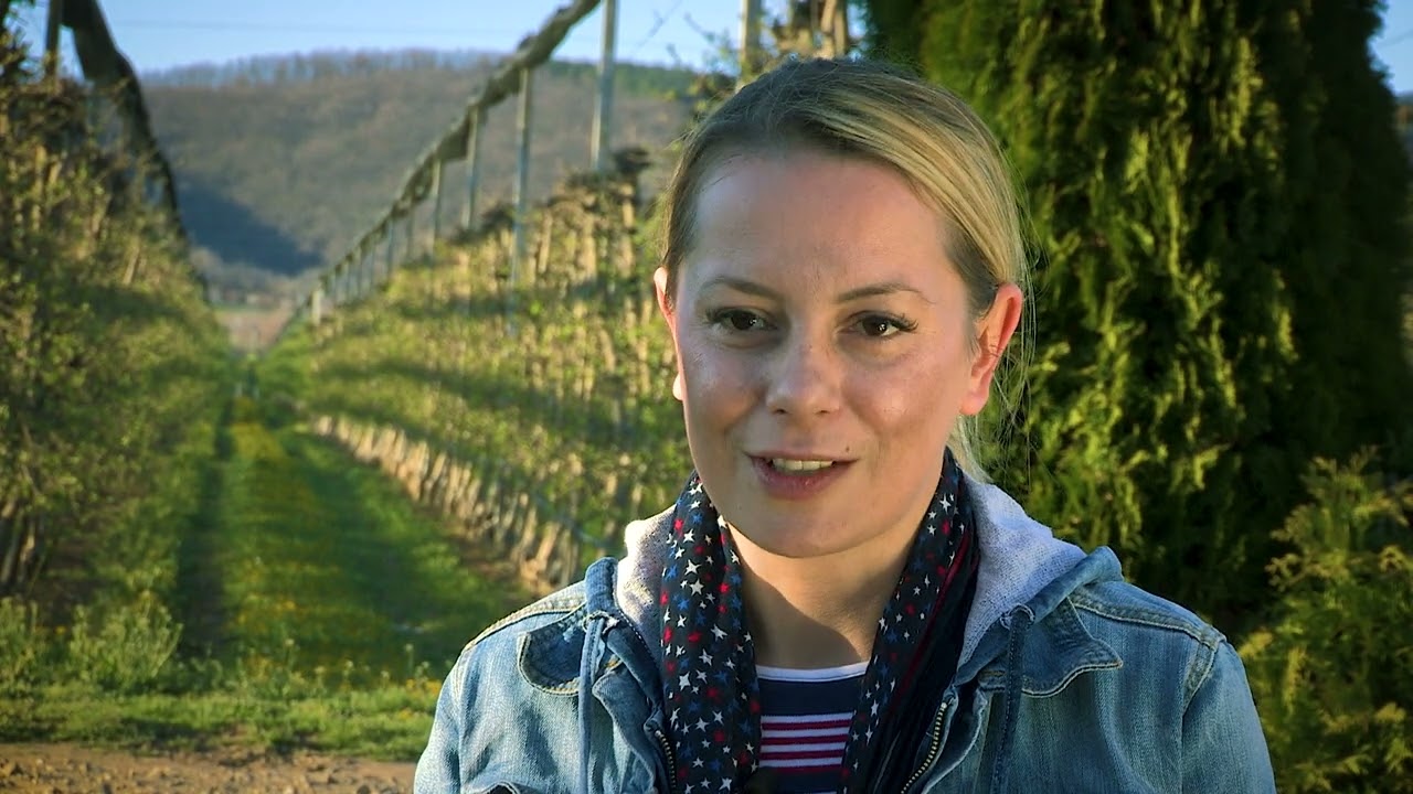 Moja lepa Srbija: Fruška gora - Zelena lepotica Vojvodine