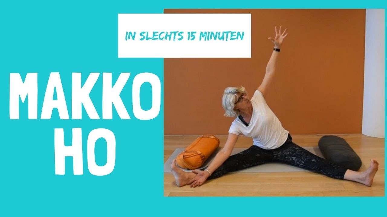Makko Ho - strekoefeningen voor de 12 Meridianen