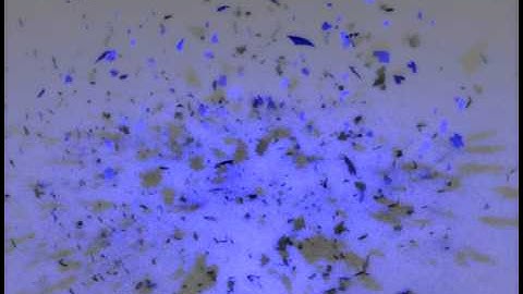 Blender 2.46 Monkeyhead explodes