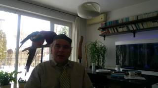 Note 2 on Intellectuals by Paul Johnson