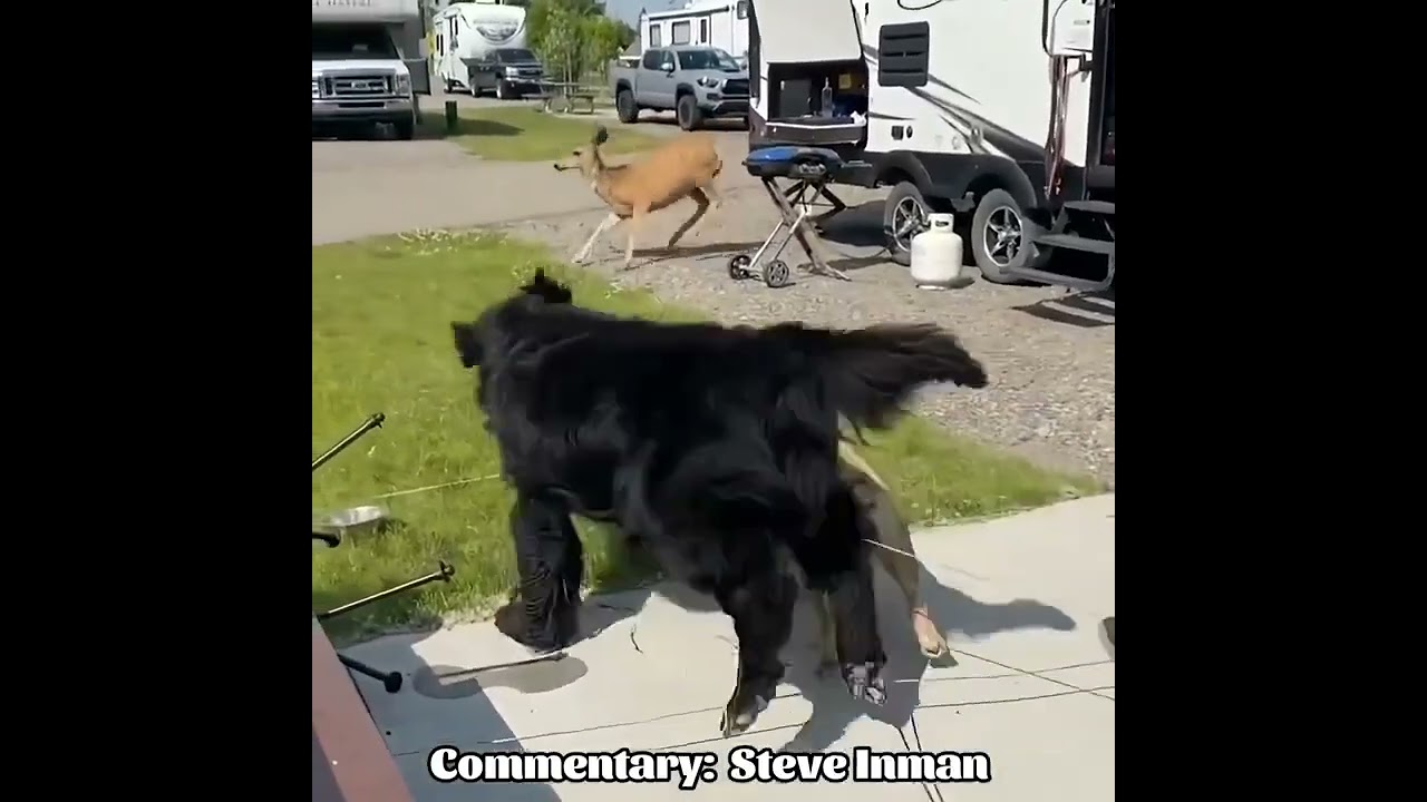 Man holds on for deer life