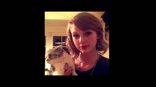 the way i loved you (sped up) - taylor swift