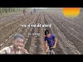 Ganne ki bowayi vlog #vlogs #trending #funny#ganna | ganne ki khet