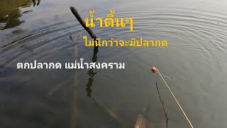 ซิดเบ็ดปลากด น้ำตื้นๆ ไม่นึกว่าจะมีตัวใหญ่ #แม่น้ำสงคราม #แหล่งน้ำธรรมชาติ #ตกปลากด