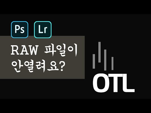 포토샵과 라이트룸에서 RAW 파일이 안열려요? DNG를 쓰세요~! (DNG 컨버터 사용법)