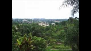 L'Beghi Dib'less
