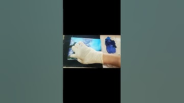 Finger paint quick & easy flowers | Hydrangea | Vẽ hoa cẩm tú cầu #acrylicpainting #flowers #shorts