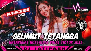 DJ BREAKBEAT PARTY FULL BASS VIRAL 2025🎵DJ SELIMUT TETANGGA🎵BREAKBEAT NOSTALGIA