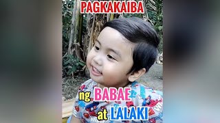 Pagkakaiba ng babae at lalaki | Noah and Friends