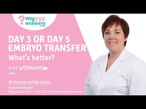 Ivf Tag 3 Oder Tag 5 Blastozysten Embryotransfer