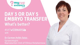 Day 3 Or Day 5 Embryo Transfer What S Better