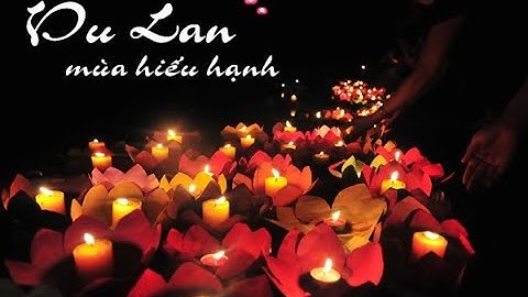 rất đông các Phật Tử thả đèn Hoa Đăng cầu Bình An vào lễ Vu Lan Báo Hiếu tháng 7