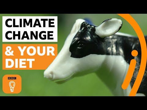 What if everyone in the world went vegan? | BBC Ideas
