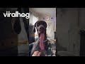 Yawning Dog Shows Off Incredibly Long Tongue ViralHog 