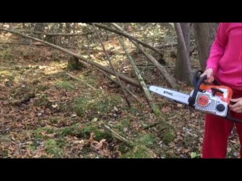 How to get FREE Fence Posts and how to put them in Stihl Chainsaw cutting Cedar Trees