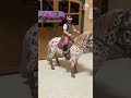 ia #horse